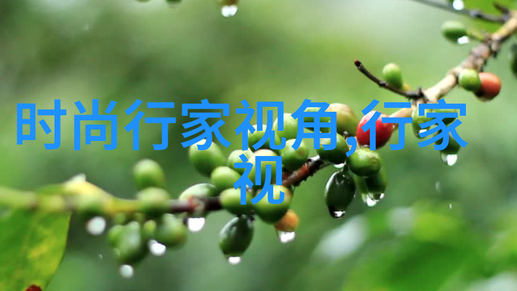 精美微信头像时尚(精美图片微信)